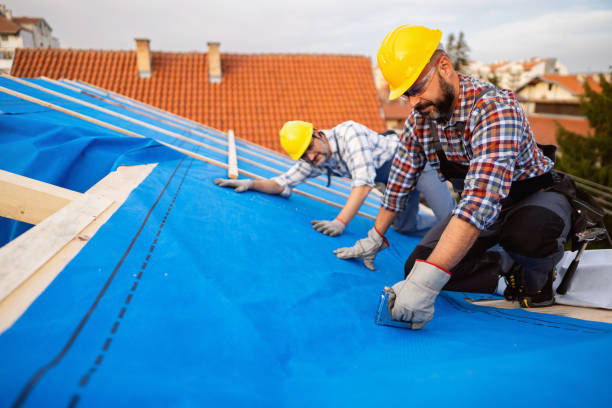 Best Roof Gutter Cleaning  in Sand Hill, PA